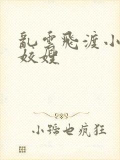 乱云飞渡小说之姣嫂