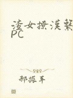 渣女撩汉系统NPC