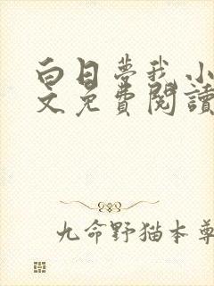 白日梦我小说全文免费阅读封面