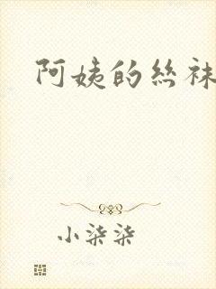 阿姨的丝袜小说封面