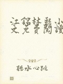 江铭林熙小说全文免费阅读