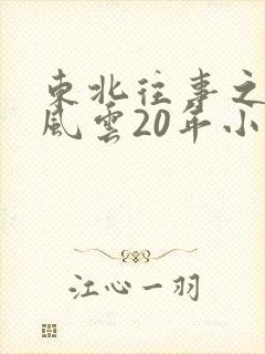 东北往事之黑道风云20年小说封面