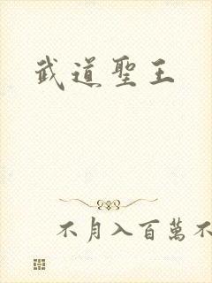 武道圣王
