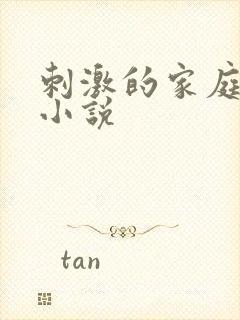 刺激的家庭乱仑小说封面