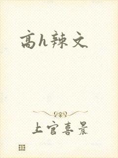 高h辣文