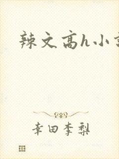 辣文高h小说封面