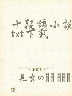 十段锦小说全本txt下载