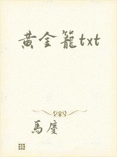 黄金笼txt封面