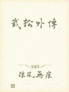 武松外传