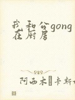 我和公gong在厨房