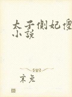 太子侧妃傻乎乎小说