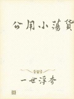 公用小荡货芊芊封面