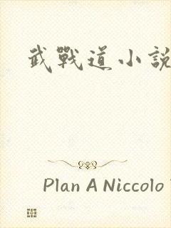 武战道小说