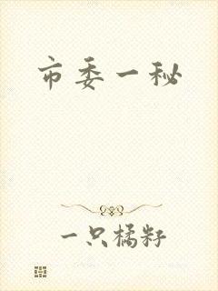市委一秘