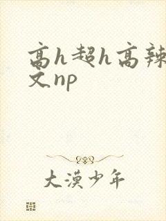高h超h高辣h文np