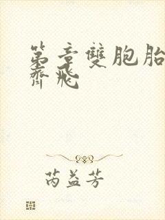 第章双胞胎姐妹齐飞