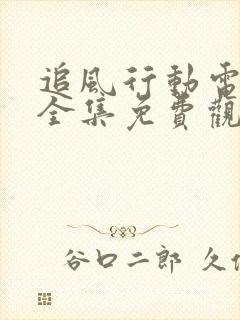 追风行动电视剧全集免费观看