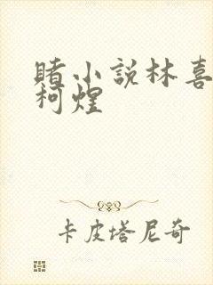 赌小说林喜朝和柯煜封面