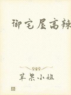 御宅屋高辣h封面