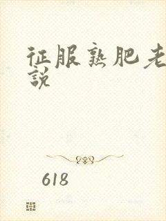 征服熟肥老妇小说