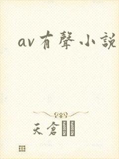 av有声小说封面