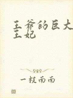 王爷的巨大进入王妃封面