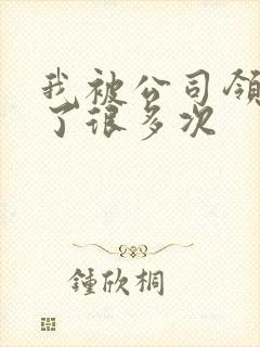 我被公司领导C了很多次