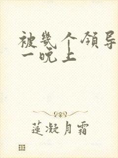 被几个领导玩弄一晚上