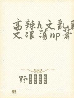 高辣h文乱乳h文浪荡np萧太后