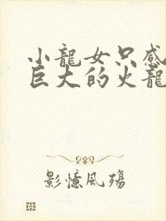 小龙女只感觉那巨大的火龙枪