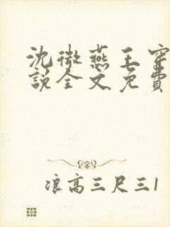 沈微燕王穿越小说全文免费阅读