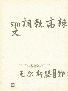 sm调教高辣h文封面
