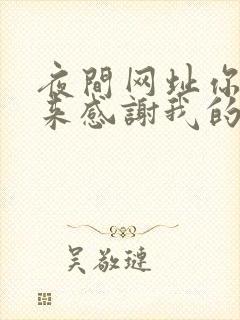 夜间网址你会回来感谢我的