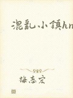 混乱小镇hnp封面