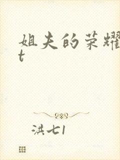 姐夫的荣耀txt封面