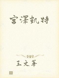宫泽凯特封面