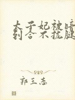 太子妃被暗卫C到合不拢腿封面