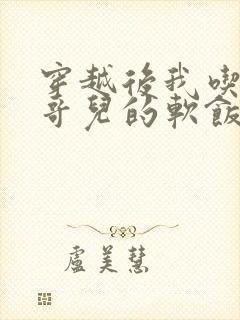 穿越后我吃到了哥儿的软饭炉山灰