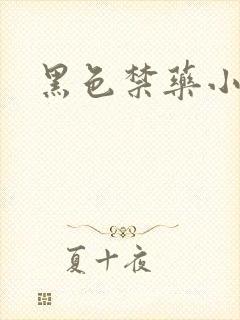 黑色禁药小说