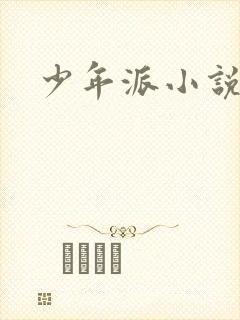 少年派小说