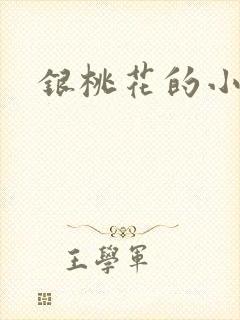 银桃花的小说
