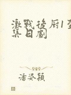 激战后厨1至5集日剧