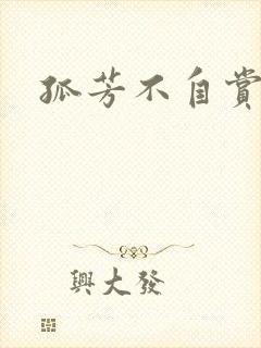 孤芳不自赏小说