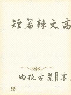 短篇辣文高h封面