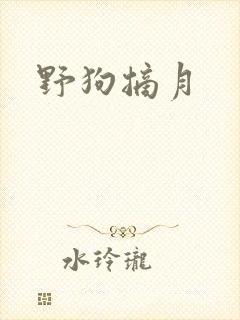 野狗摘月封面