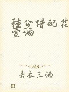 种公借配花间一壶酒