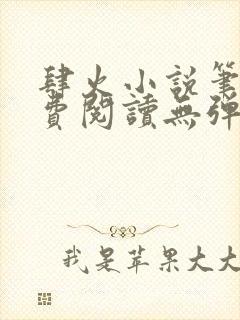 肆火小说笔趣免费阅读无弹窗