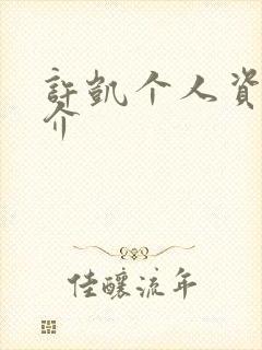 许凯个人资料简介