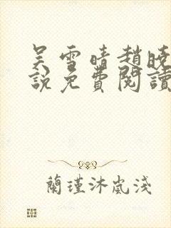 吴雪晴赵晓东小说免费阅读