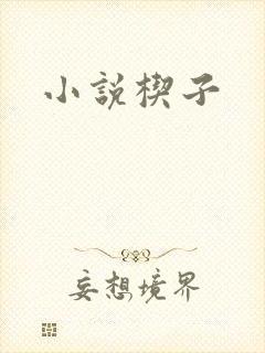 小说楔子